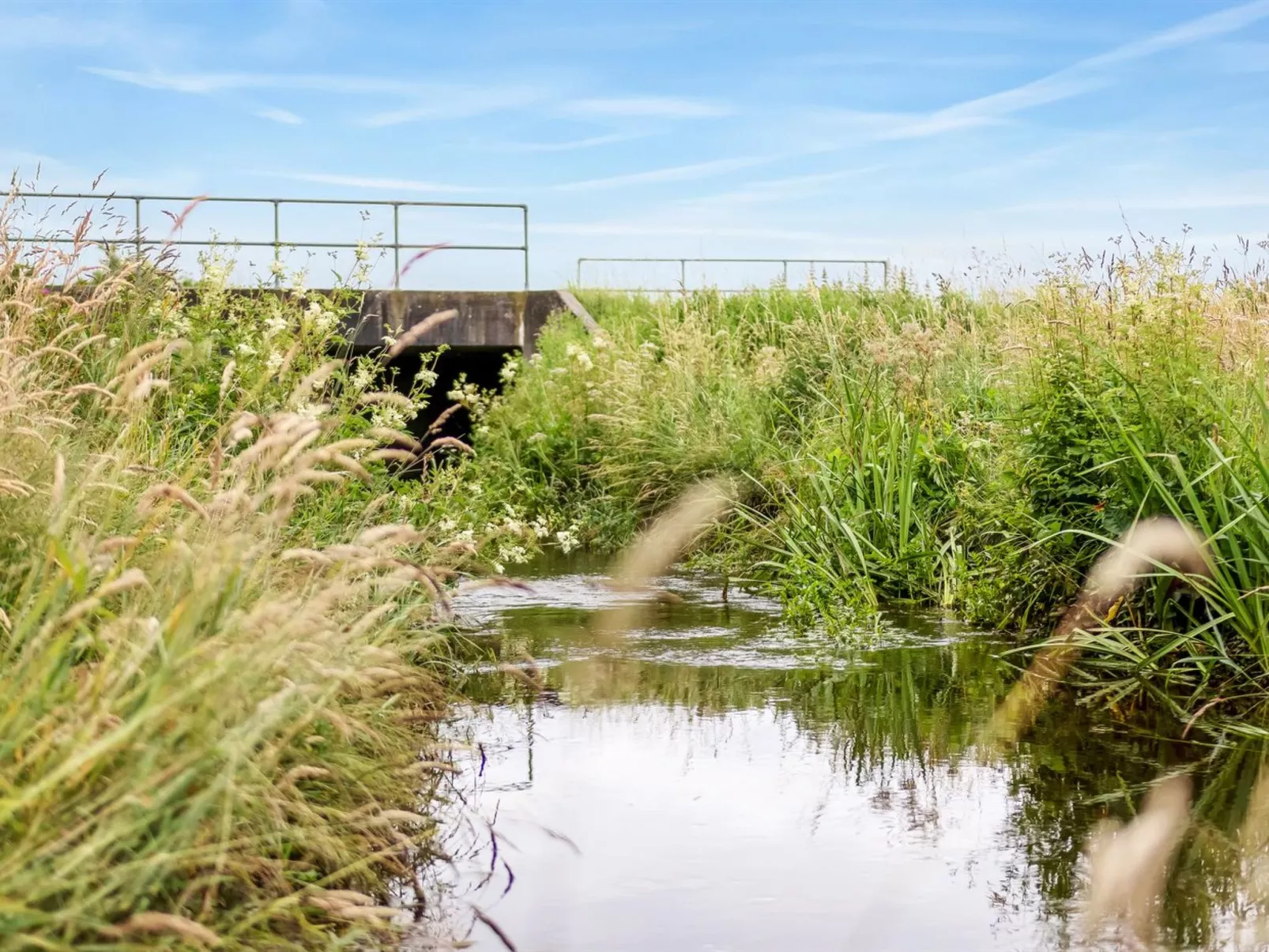 "Saran" - 30km from the sea-Dehors