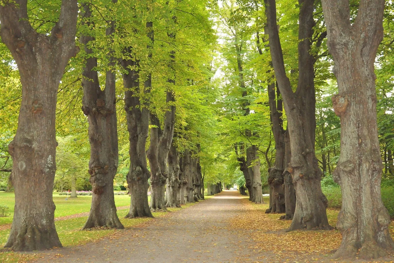 Charming Retreat on Eno - By Traum Ferienwohnungen-Untagged