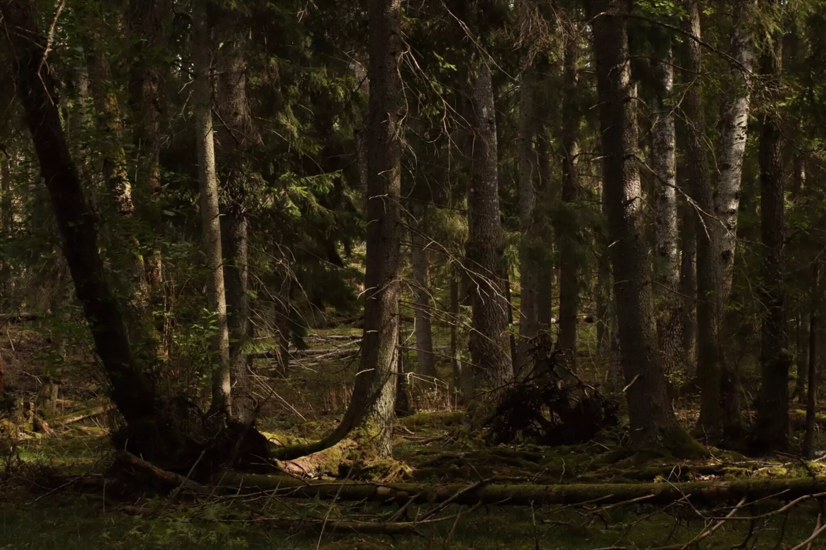 4 etoiles maison de vacances a VÄRMDÖ-Non tagué