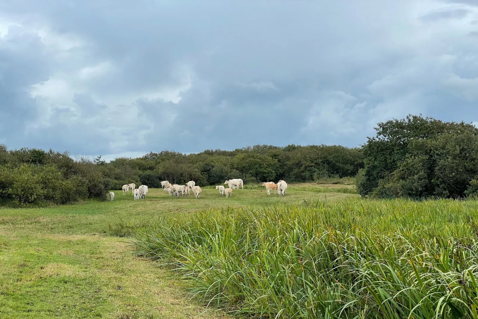 Tipitent de Jutter-Gebiete Sommer 5 km