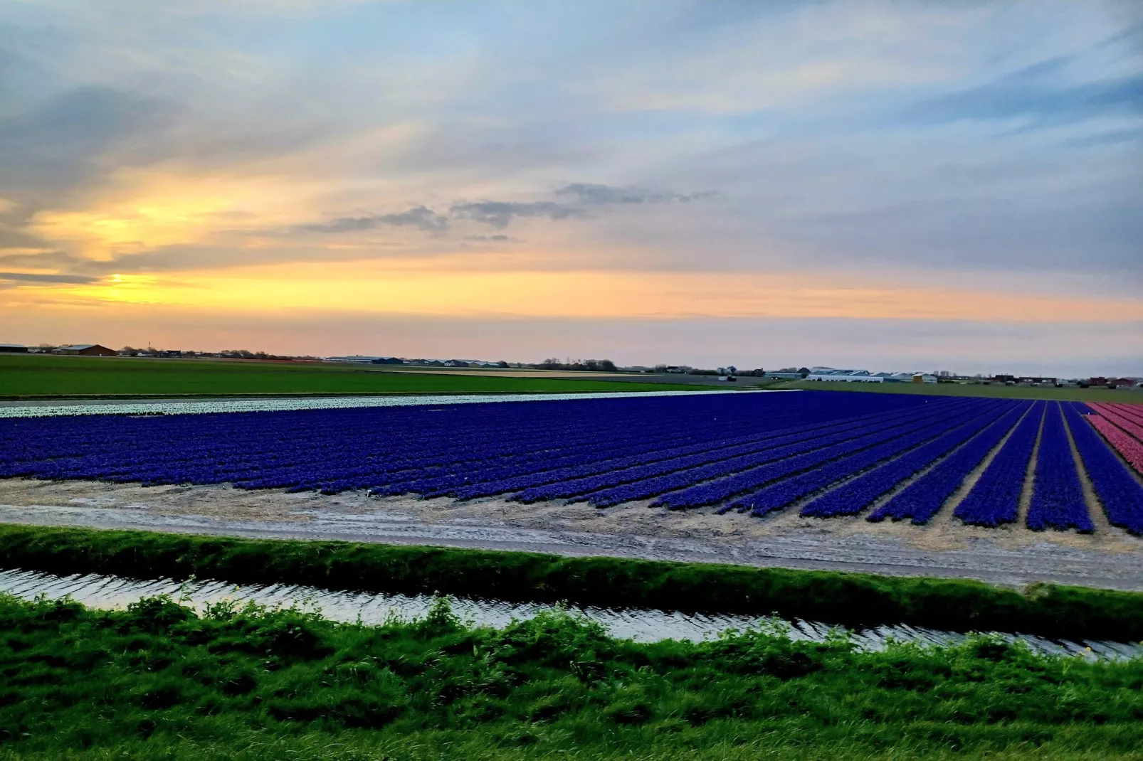 Vossehoeck 2-Gebiete Sommer 5 km