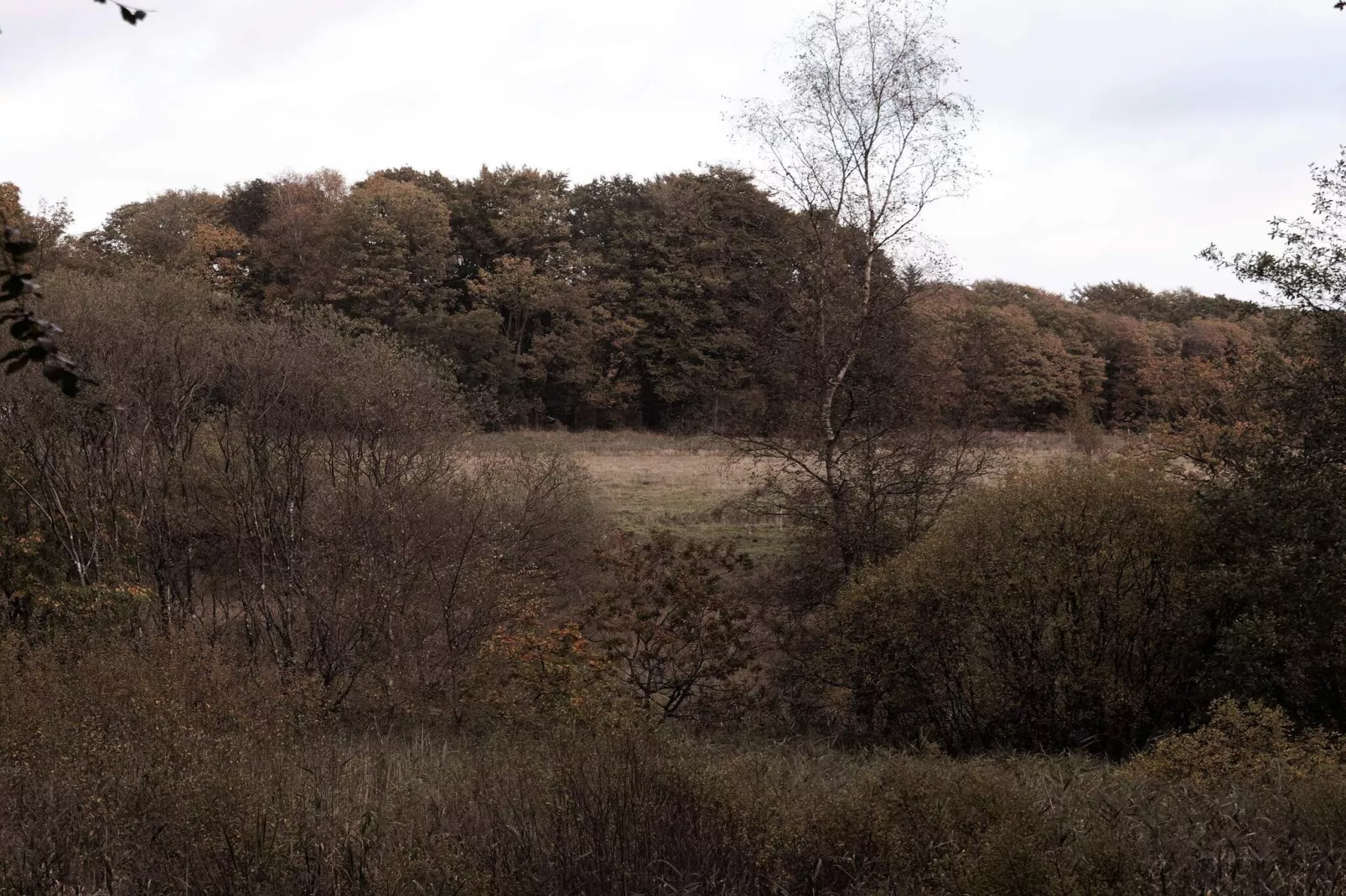 4 Sterne Ferienhaus in Hovborg-By Traum-Nicht zugeordnet