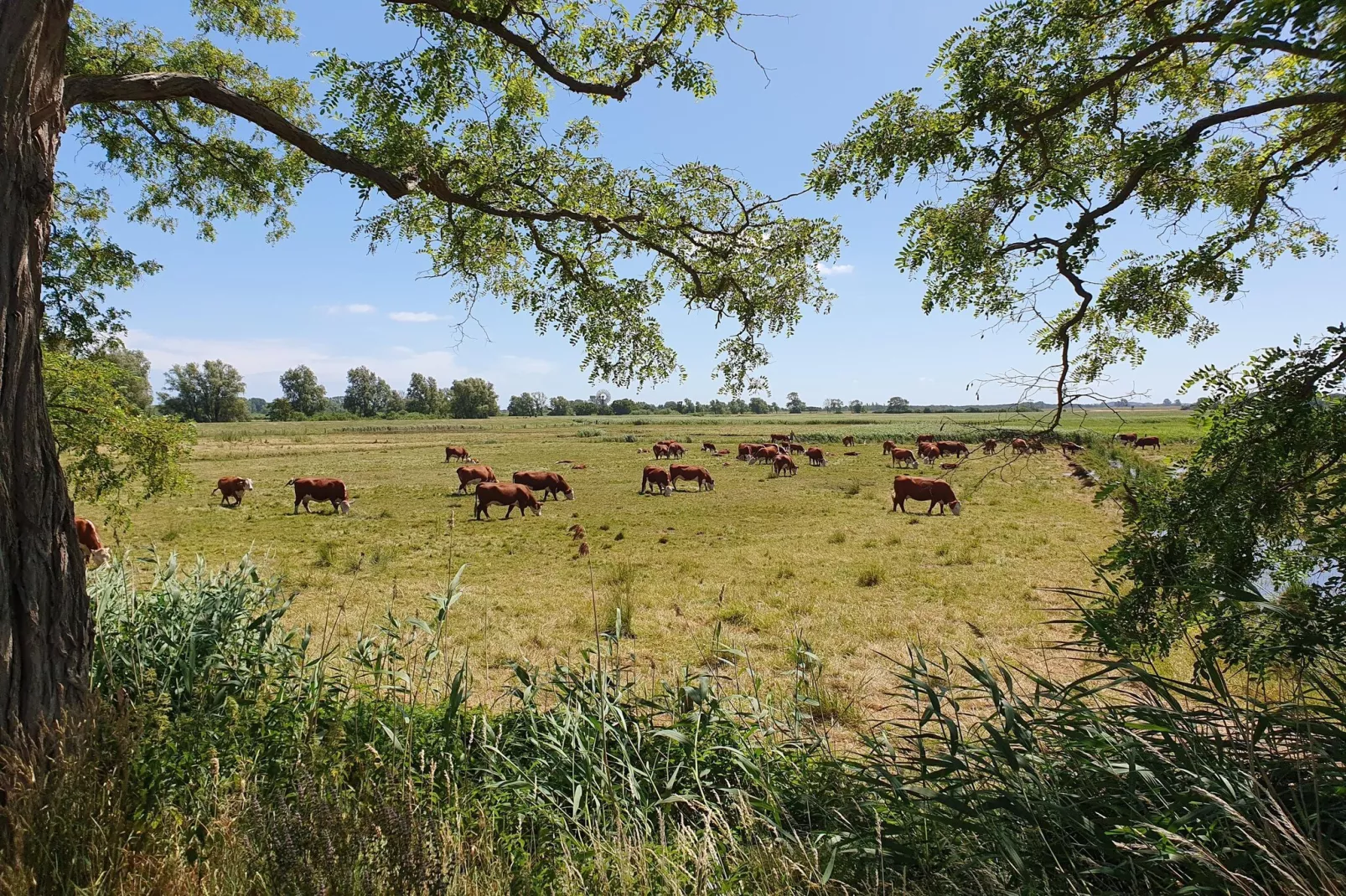 Seepark Sellin - 2 Personen-Areas within 5km in summer