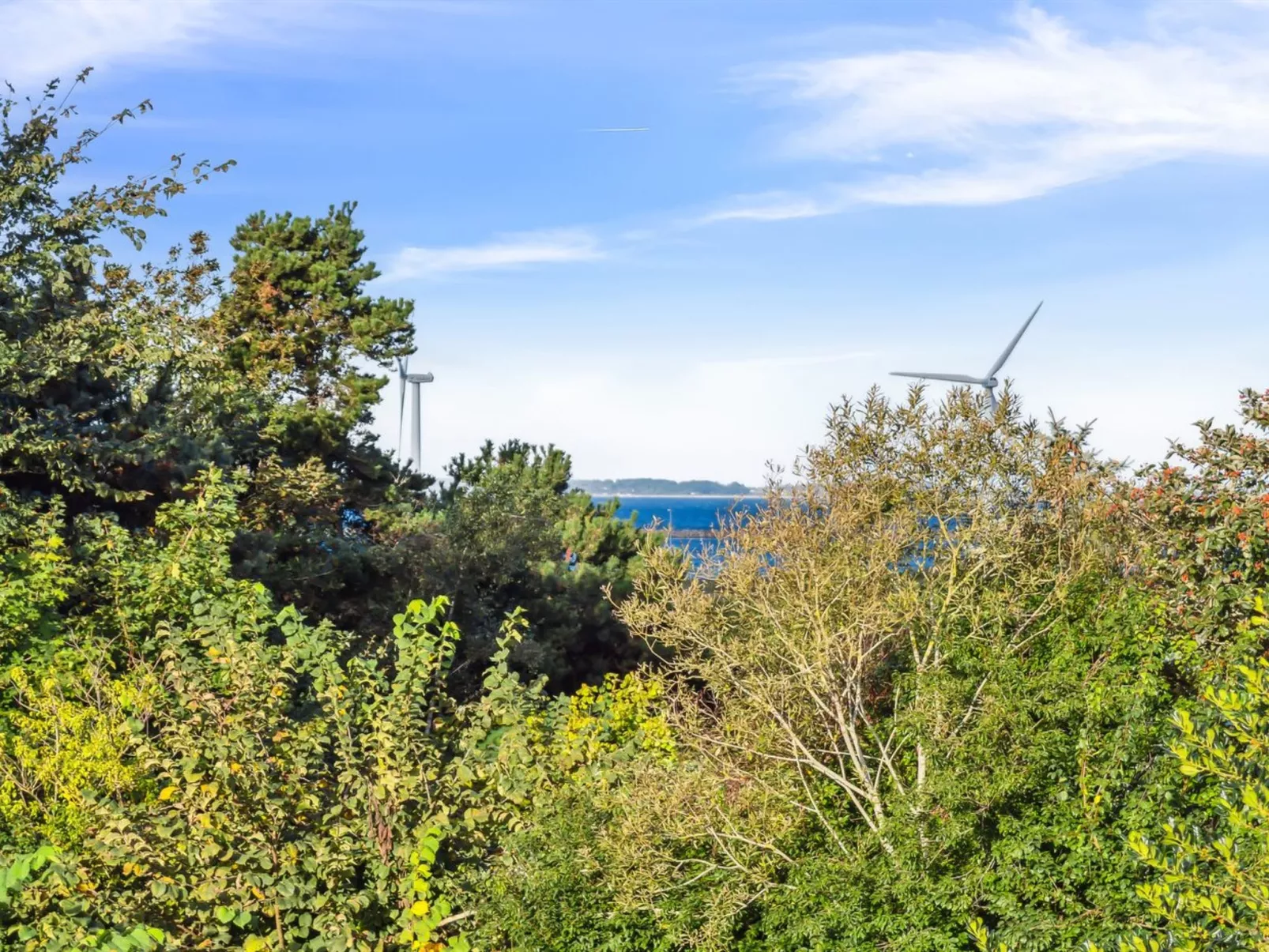 "Carolin" - 300m from the sea-Dehors