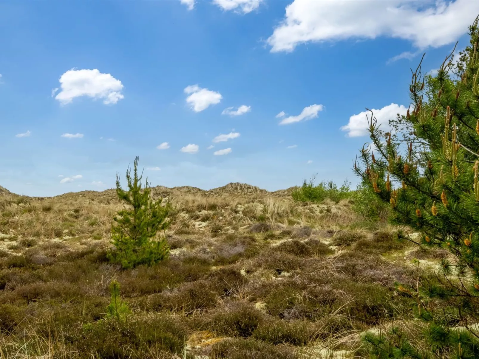 "Kimi" - 75m from the sea-Draußen