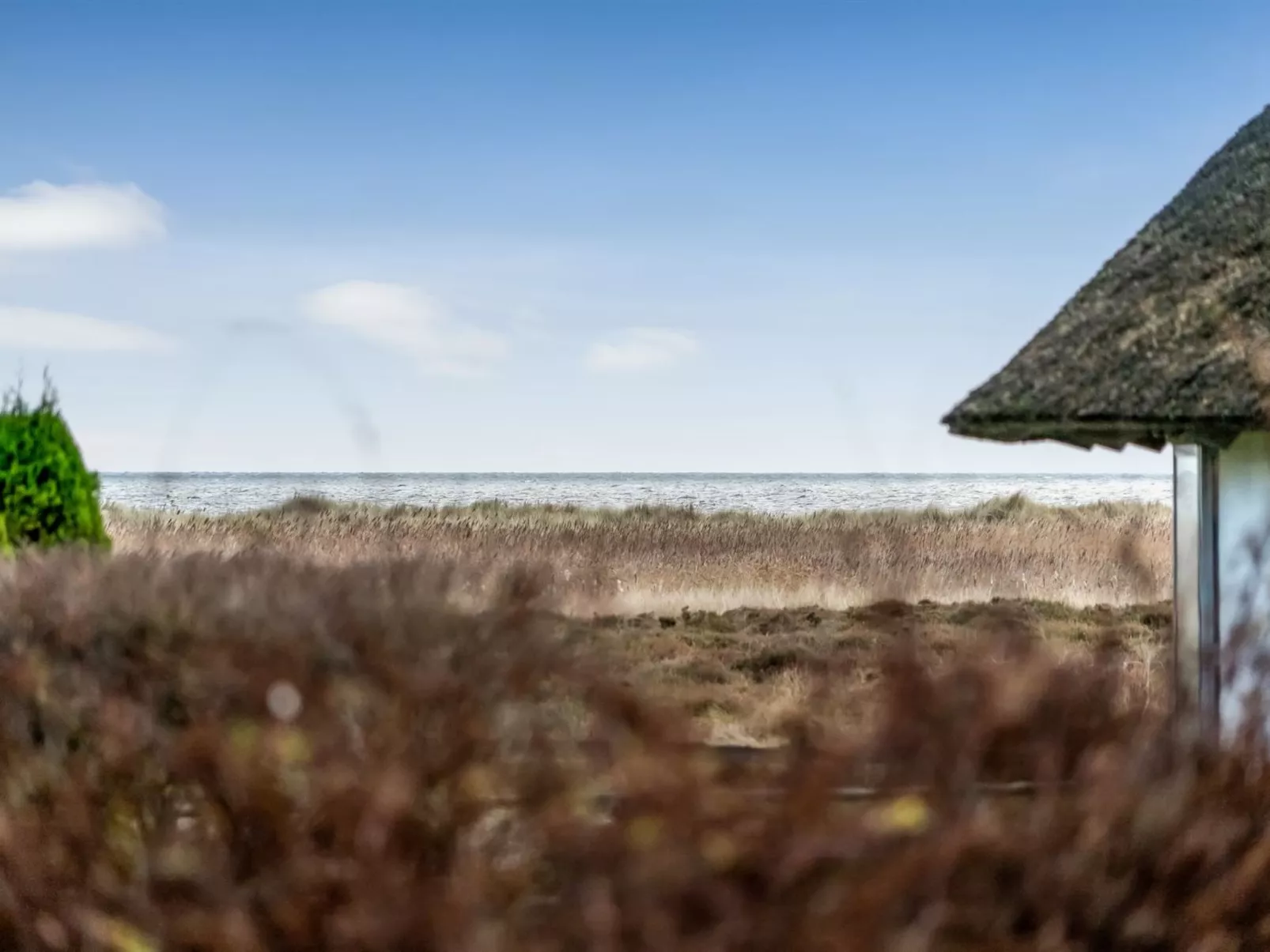 "Bent" -  from the sea-Dehors