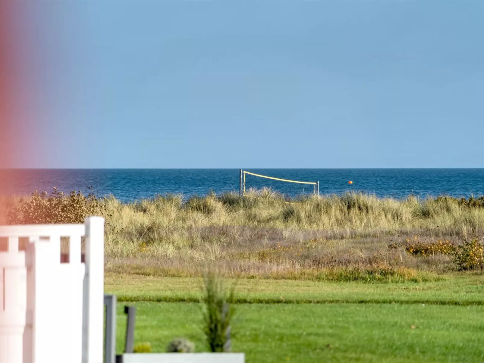 "Vincent" -  from the sea-Draußen