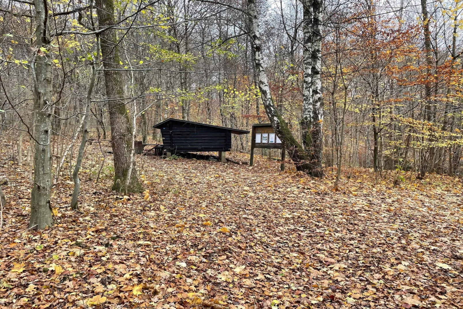 4 person holiday home in Hoor-Untagged