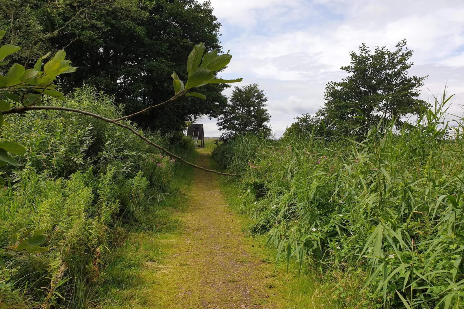 Peaceful Cabin Retreat in Ebeltoft-Untagged