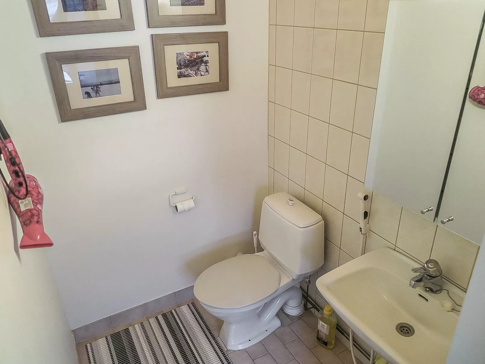 Saariselän väärtin kammi 2-Drinnen