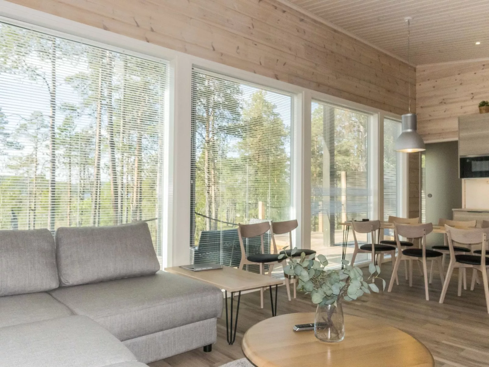 Villa paatari-Inside