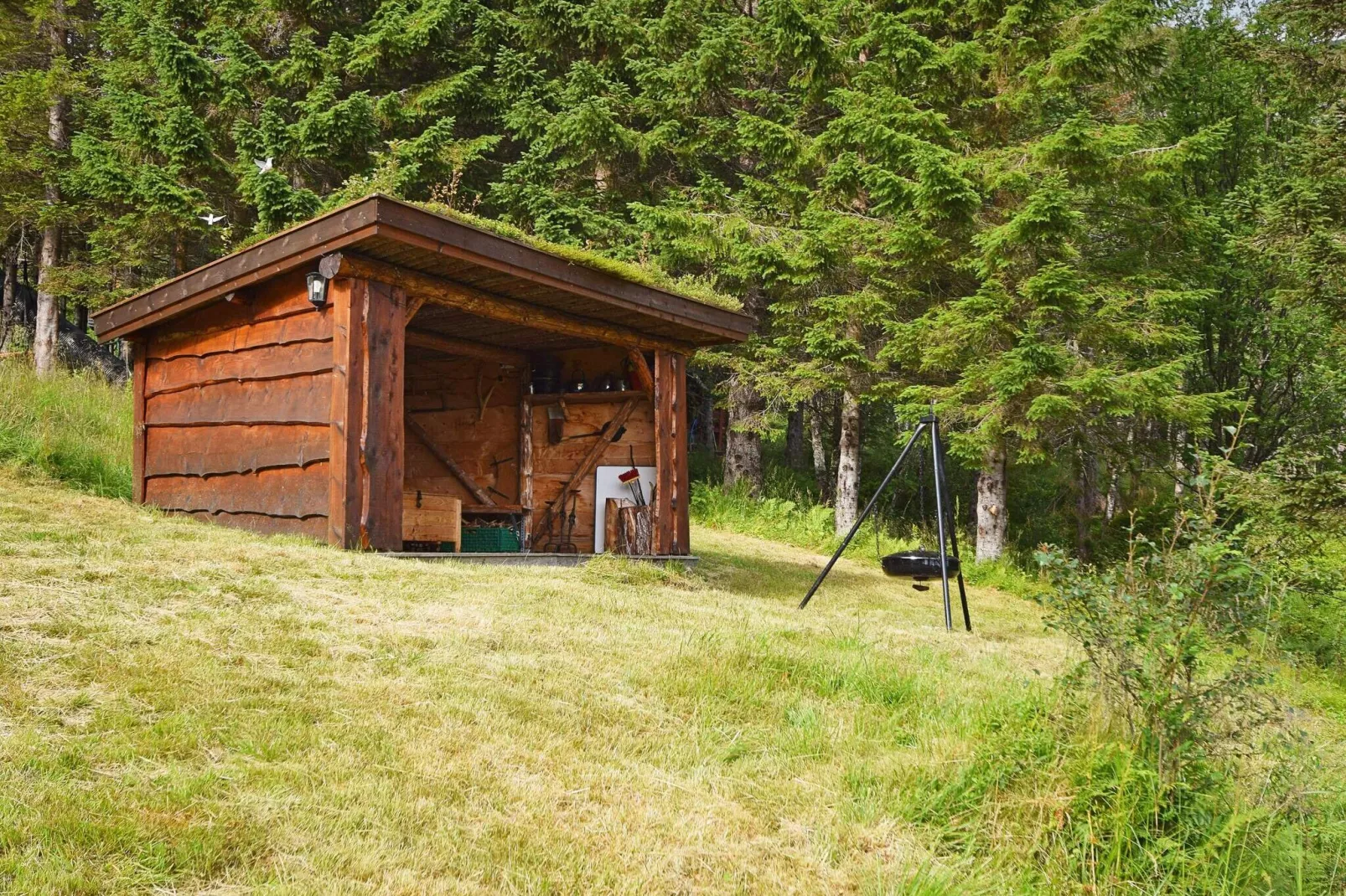 6 person holiday home in Sandhornøy-By Traum-Outdoor