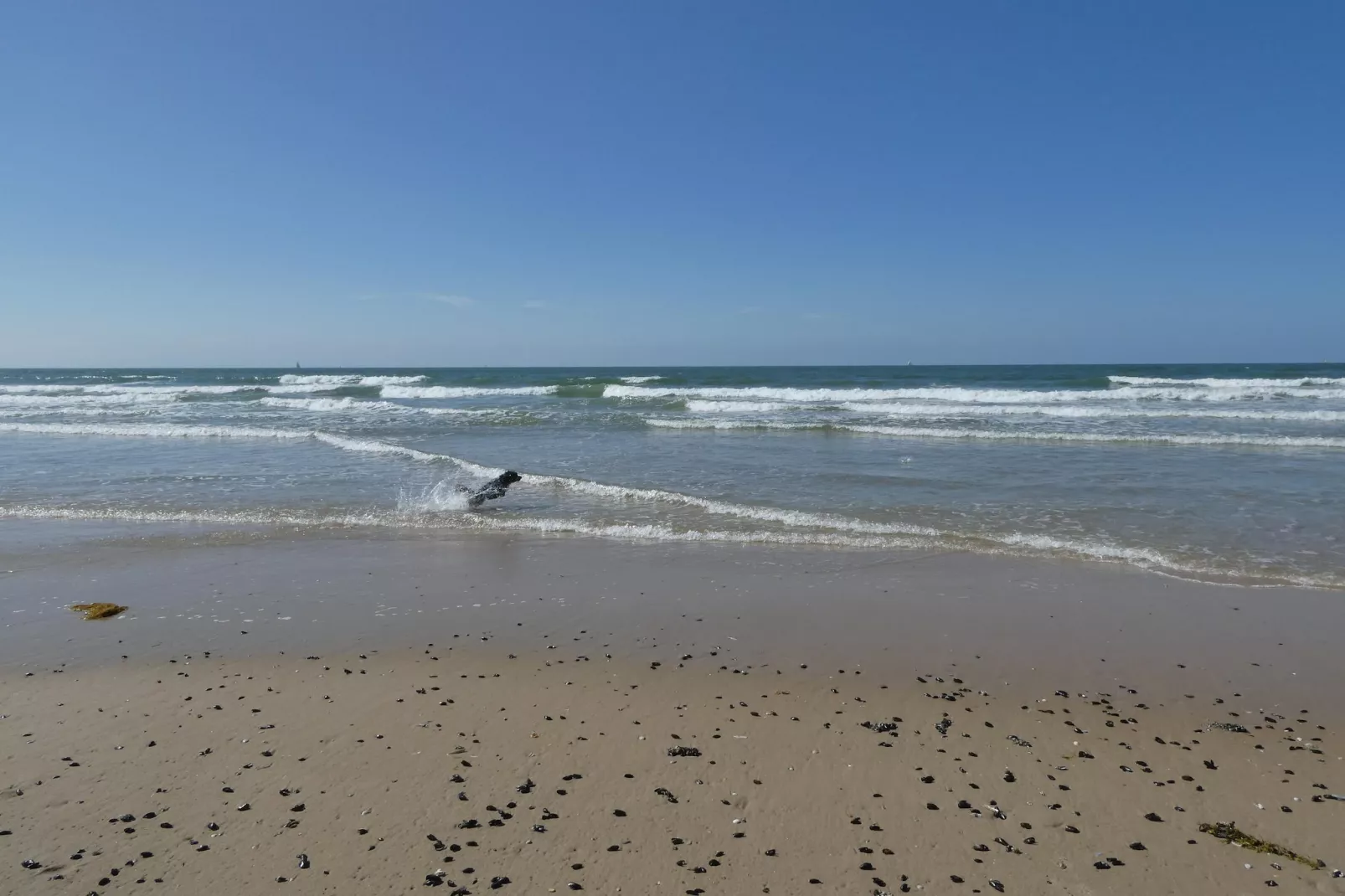 De Rede-Areas within 5km in summer