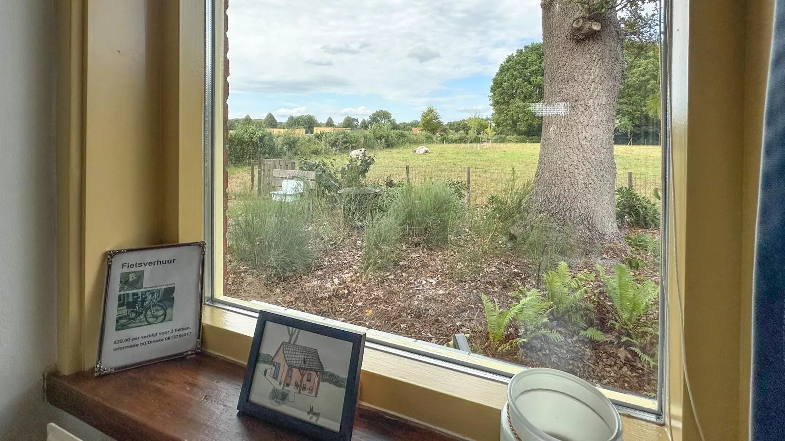 Het Bunt-View in summer