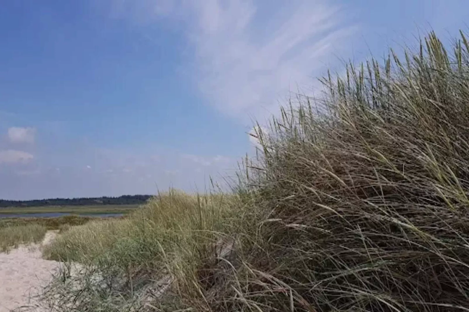 4 Sterne Ferienhaus in Nørre Nebel-Nicht zugeordnet