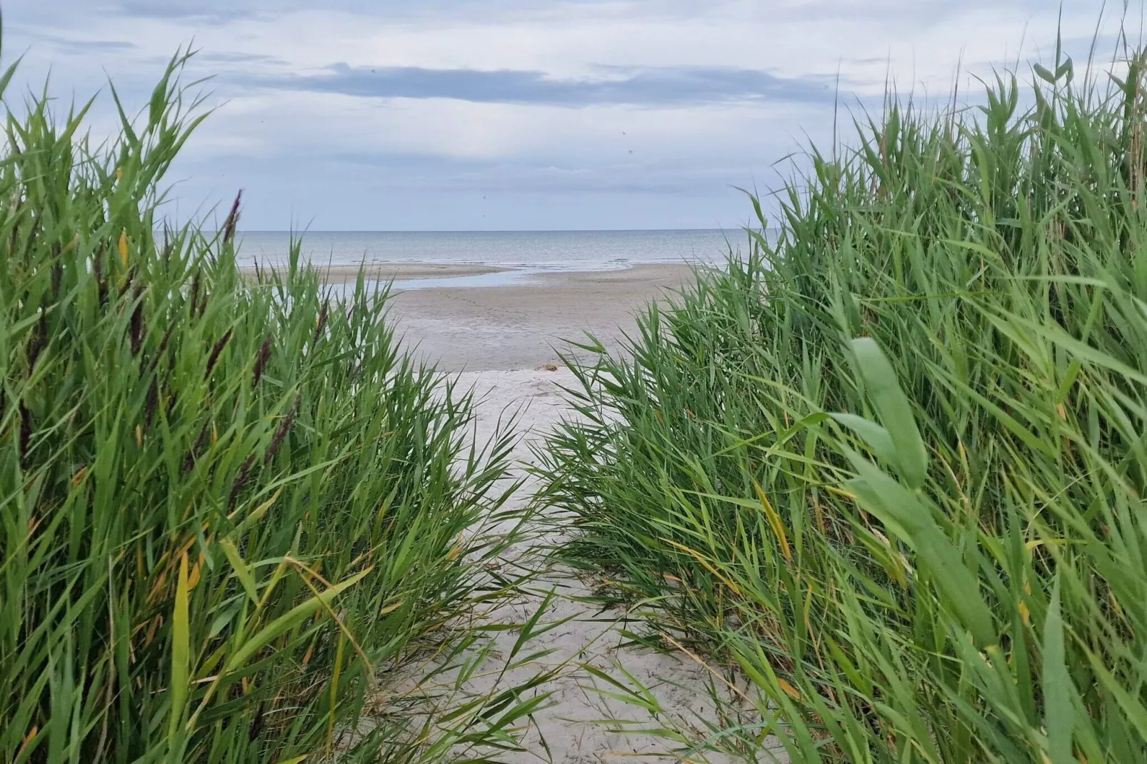 5 Sterne Ferienhaus in Hadsund-Wasserblick