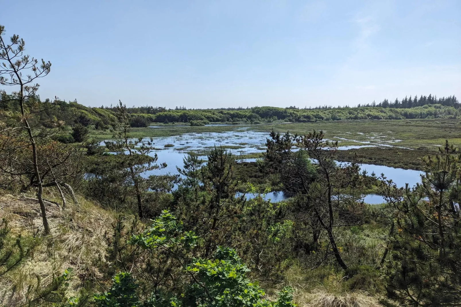 Maison de vacances pour 5 a Snedsted-Vue sur l'eau