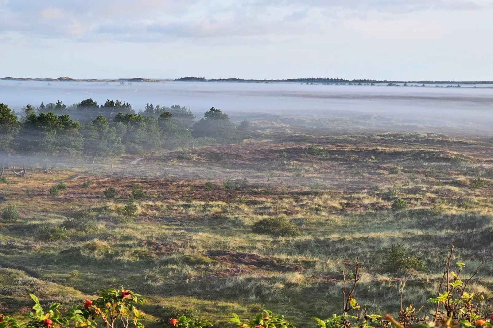 5 star holiday home in Henne Beach-Untagged