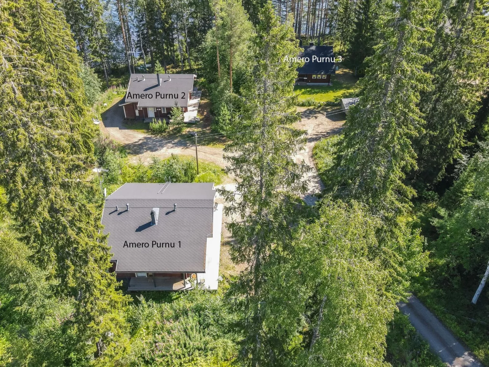 Amero purnu 2-Dedans