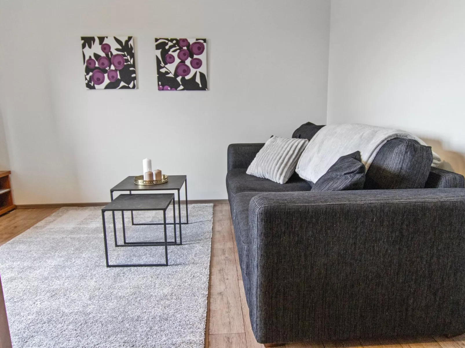 Skivillas 47 ukkohalla (a8)-Dedans