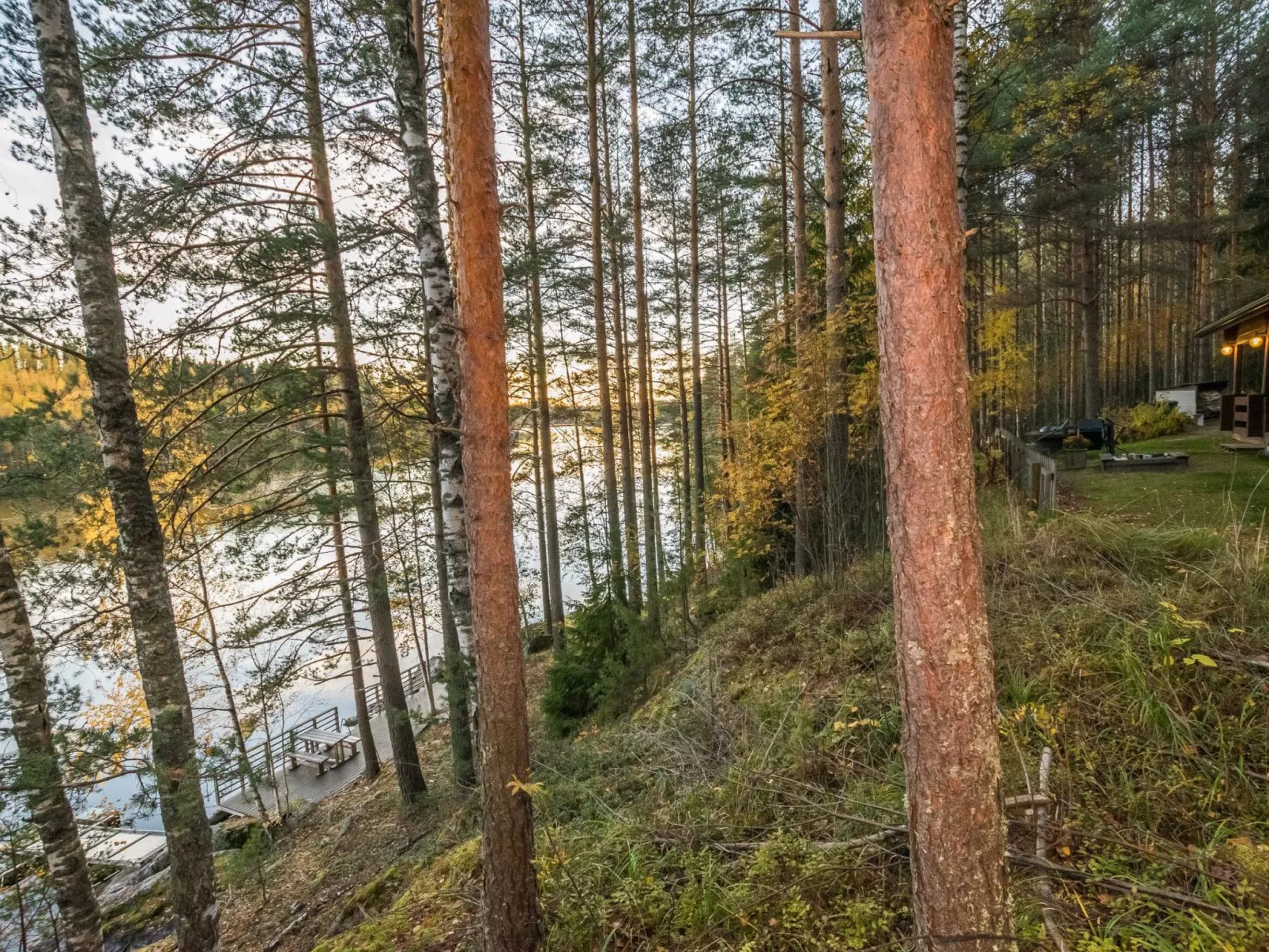 Aurinkorinne-Drinnen