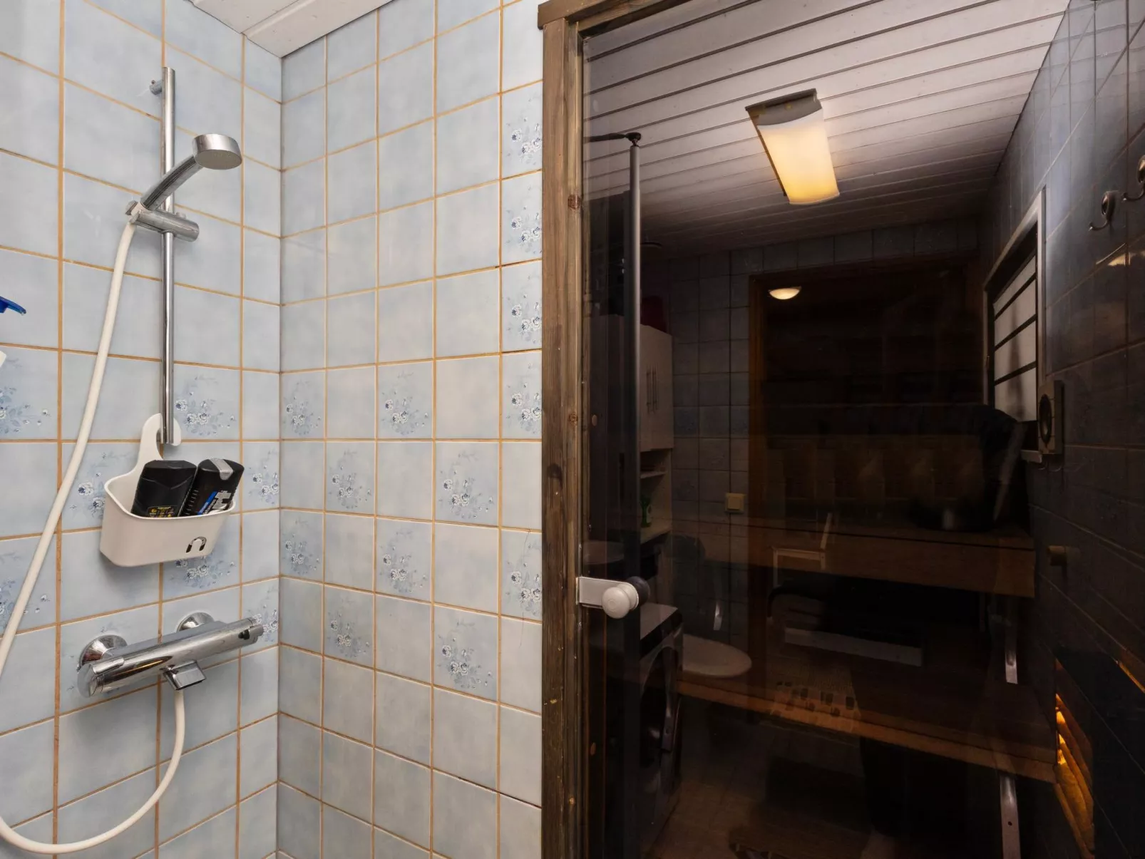 Mustalampi 5 satakieli-Dedans