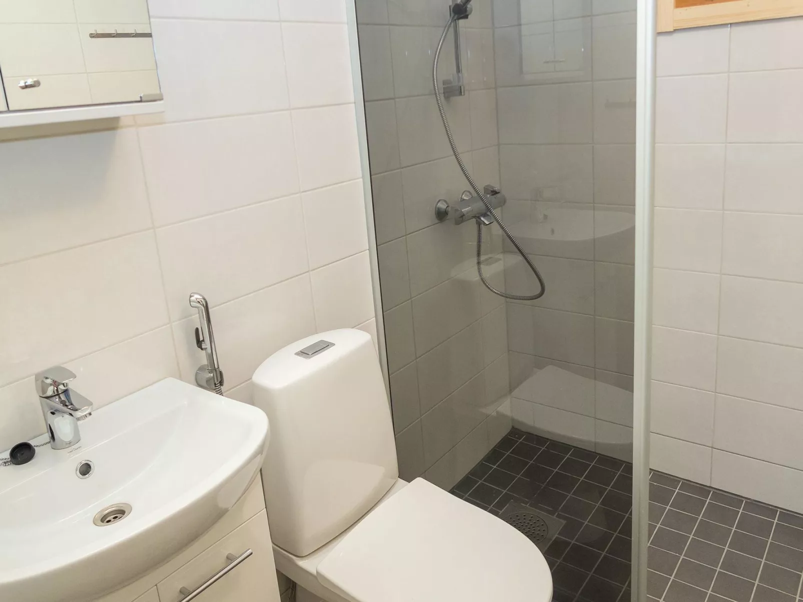 Viipusjärvi 11-Drinnen