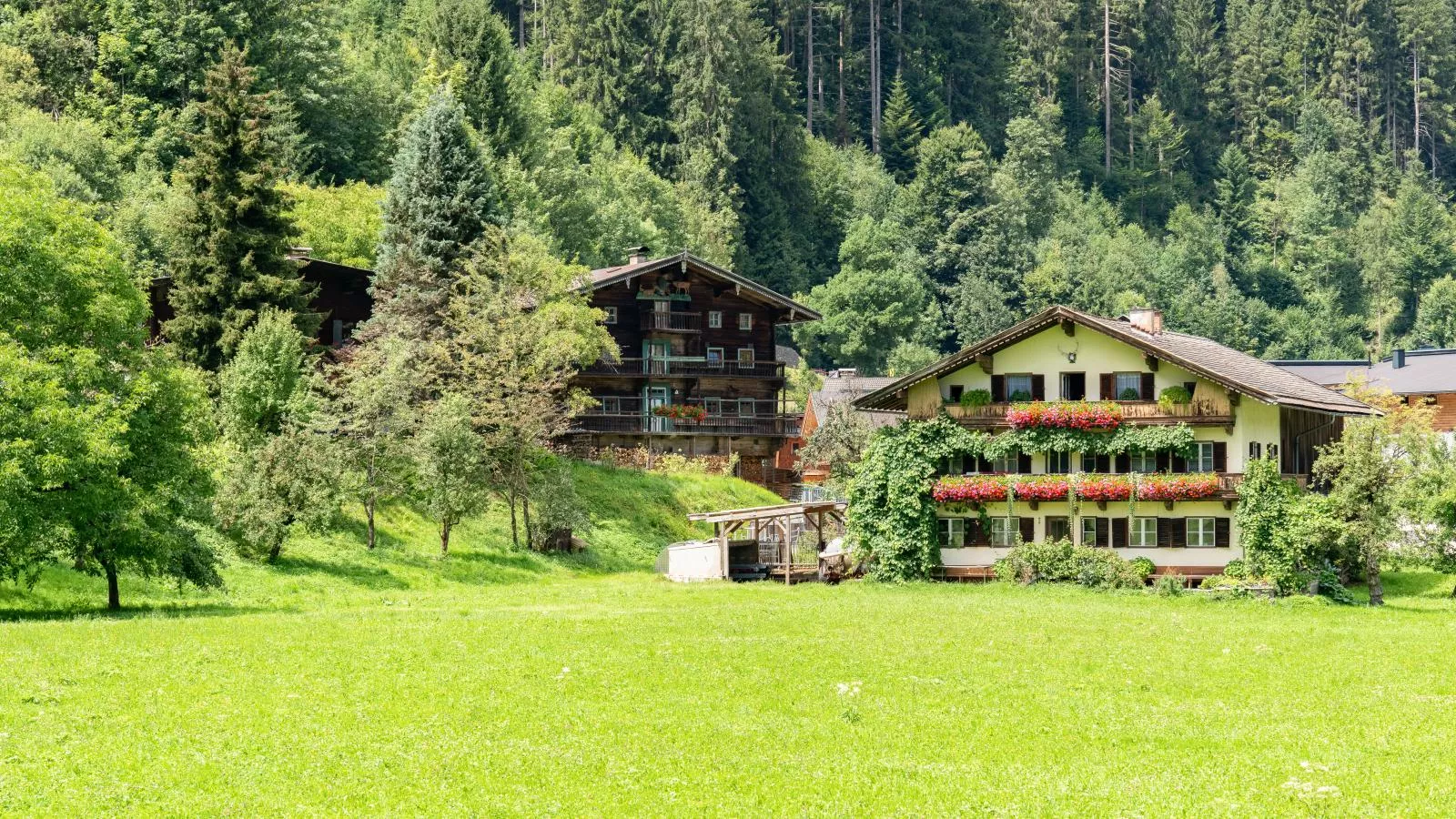 Alte Grafenmühle-Außenbereich Sommer