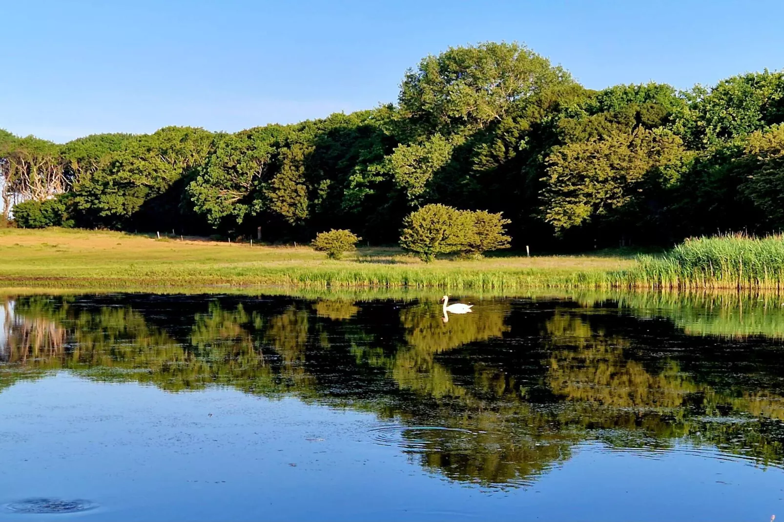 4 star holiday home in Bagenkop-Water view