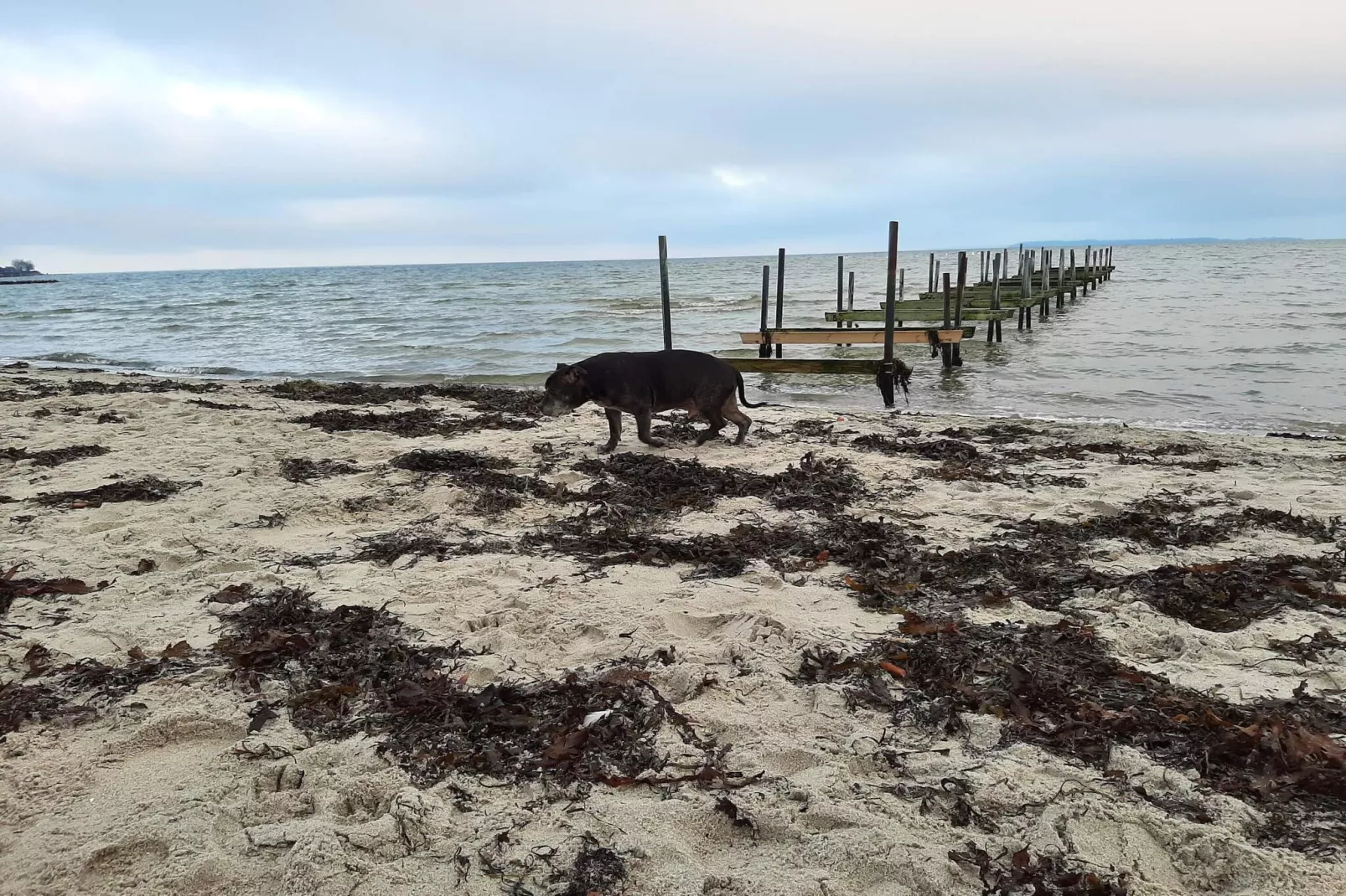 5 star holiday home in Hejls-Water view