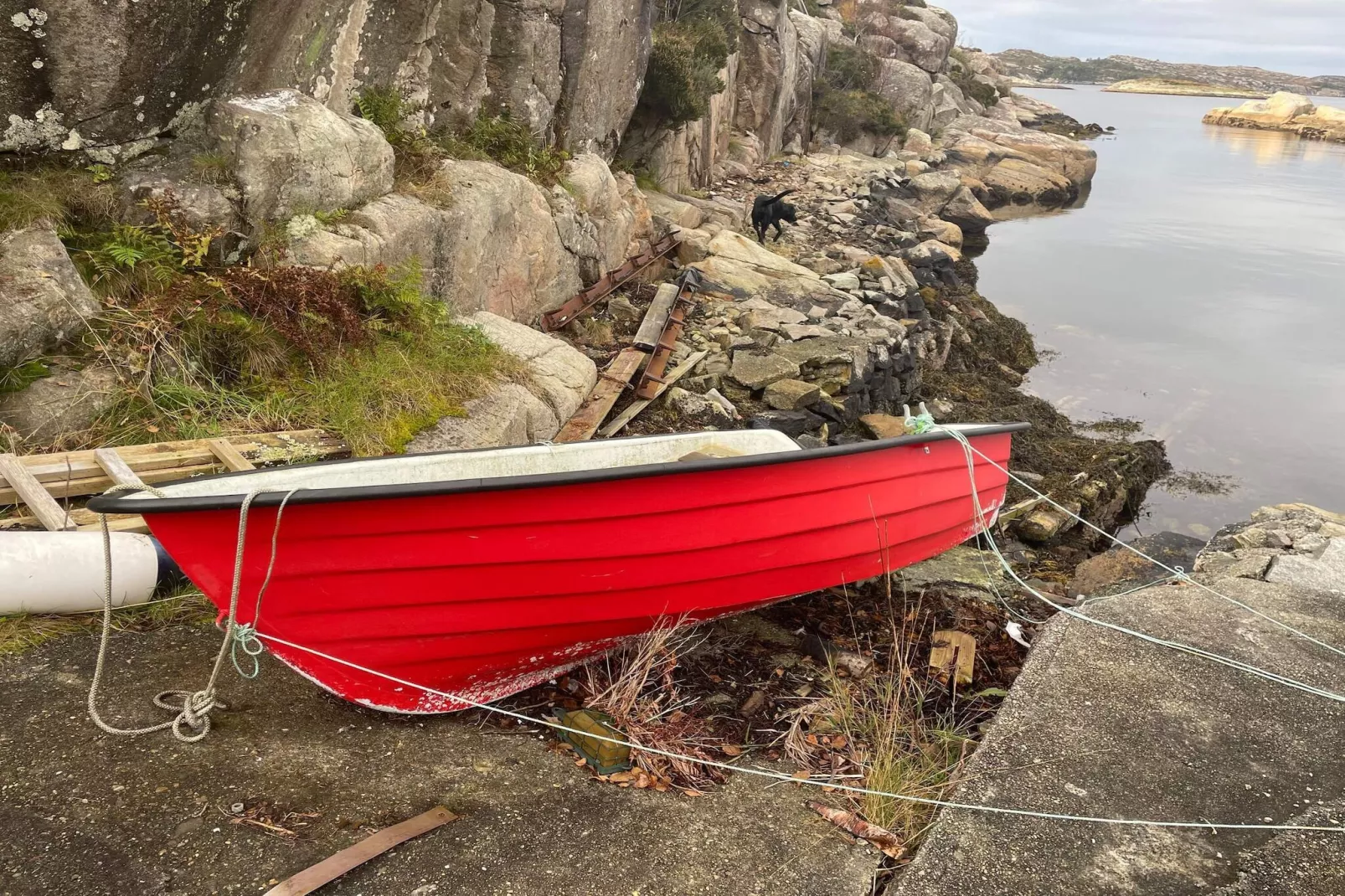 8 person holiday home in hauglandshella-Outdoor