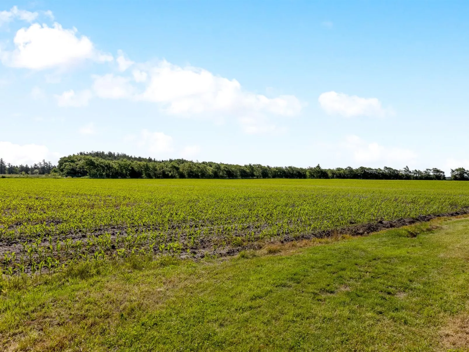 "Rahild" - 10km from the sea-Draußen