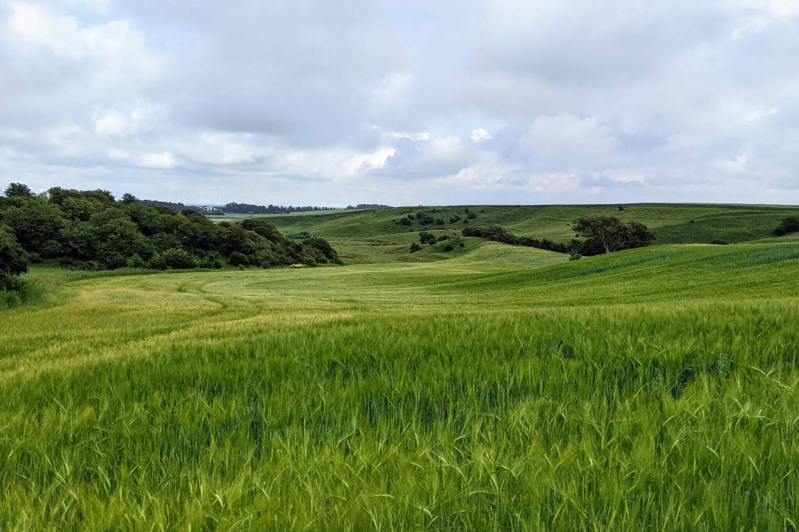4 etoiles maison de vacances a Brønderslev-Non tagué