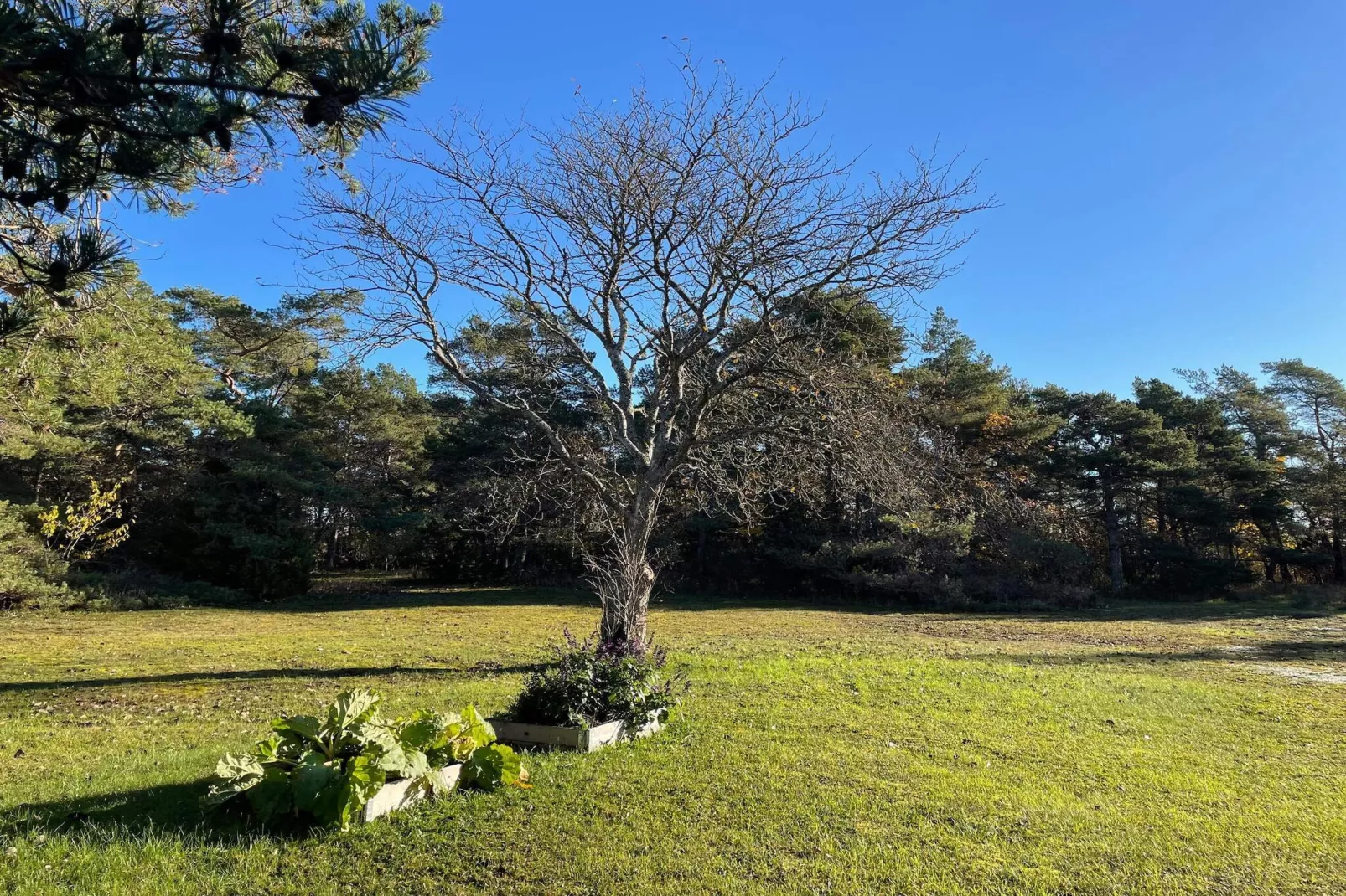 4 Sterne Ferienhaus in VISBY-Im Freien