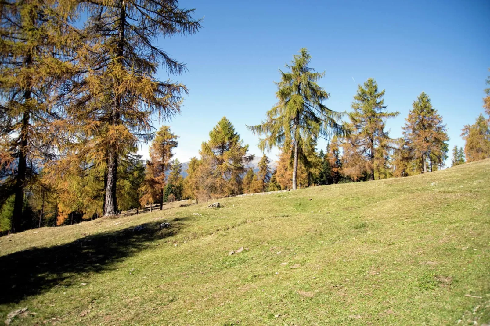 Renetta Mansarda-Areas within 5km in summer