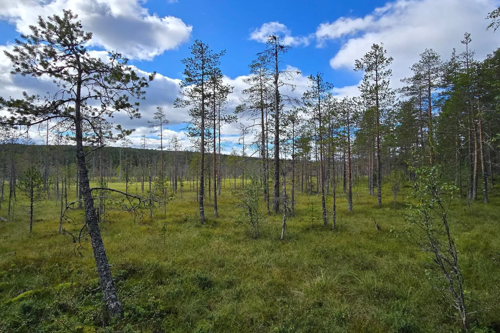 Maison de vacances pour 6 a Osen-Non tagué