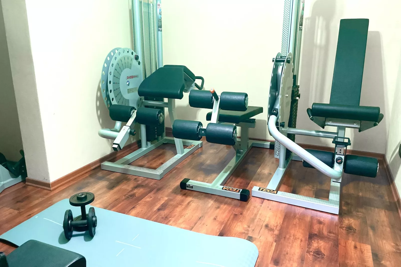 Villa Melograno-Gym