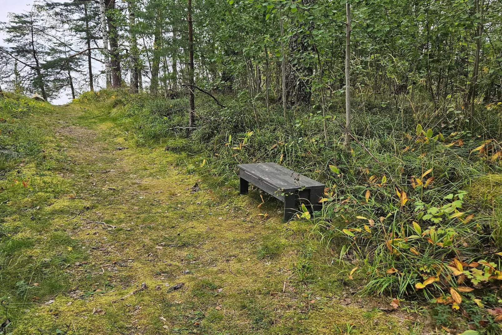 4 Sterne Ferienhaus in BY KYRKBY - Im Freien