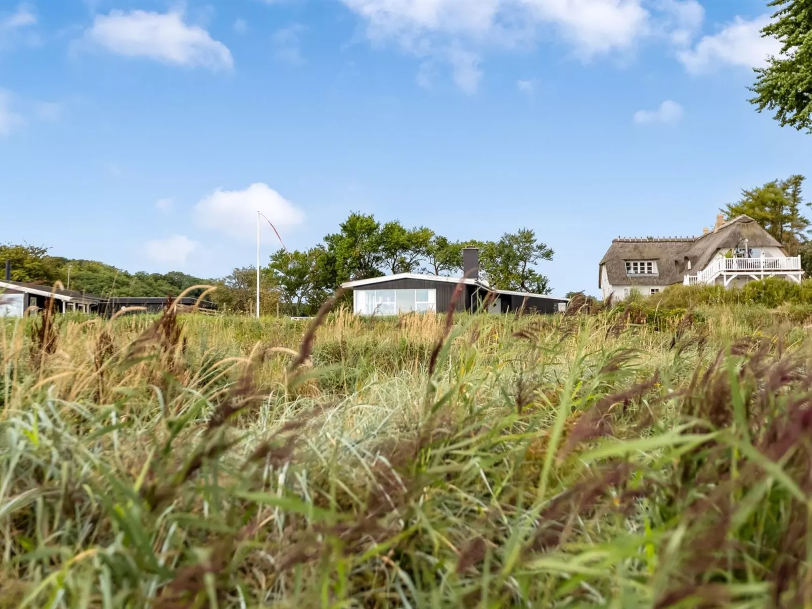 "Teodosija" - 20m from the sea-Dehors