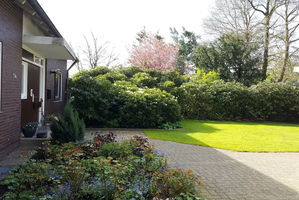 225966-Nicht zugeordnet