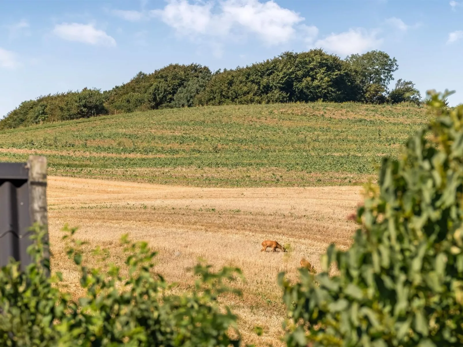 "Berner" - 500m to the fjord-Outside