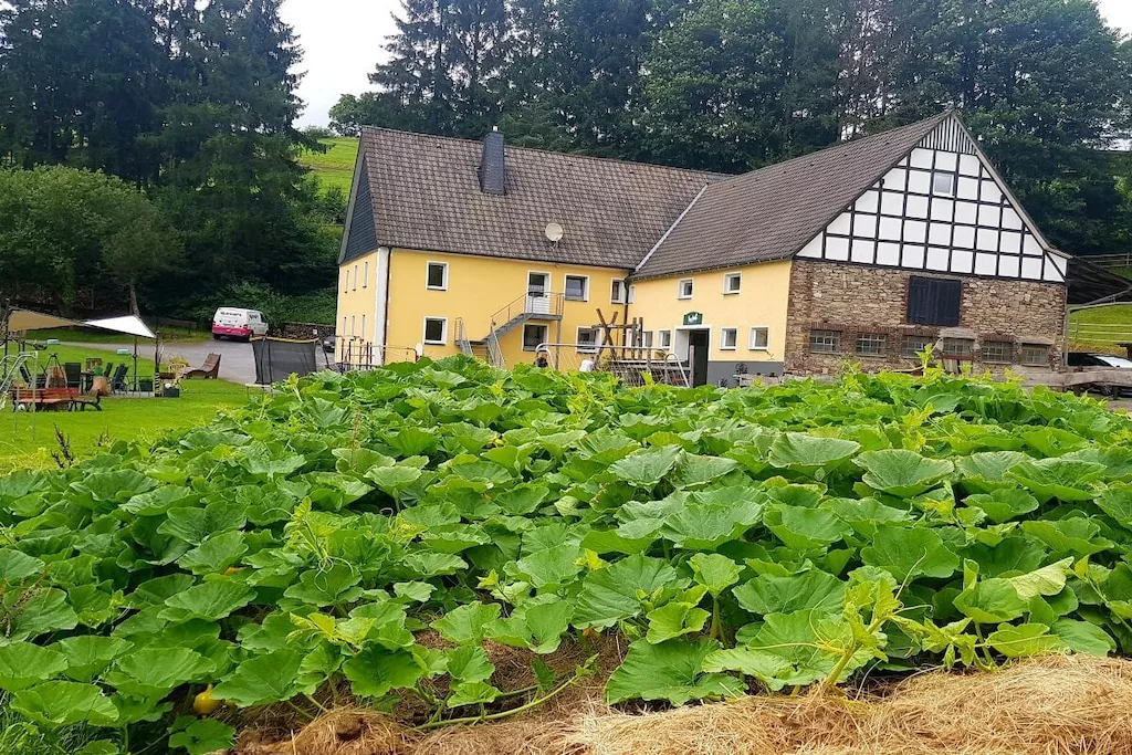 137960-Nicht zugeordnet