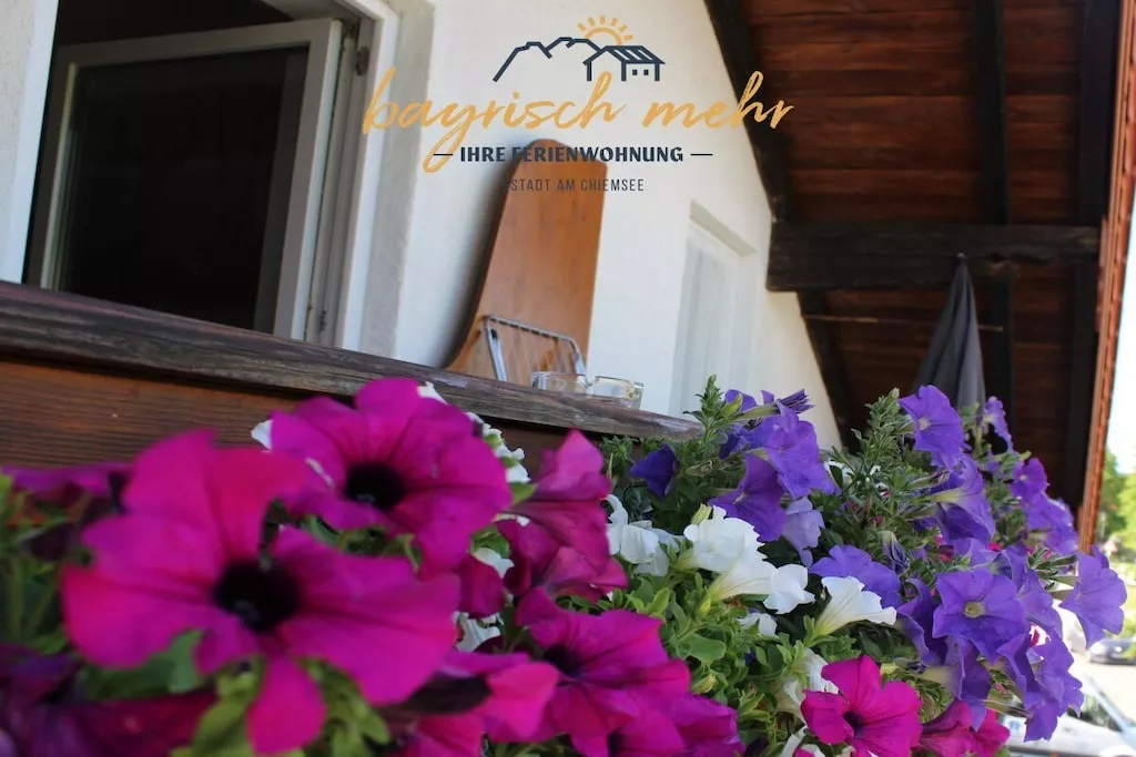 374906-Nicht zugeordnet