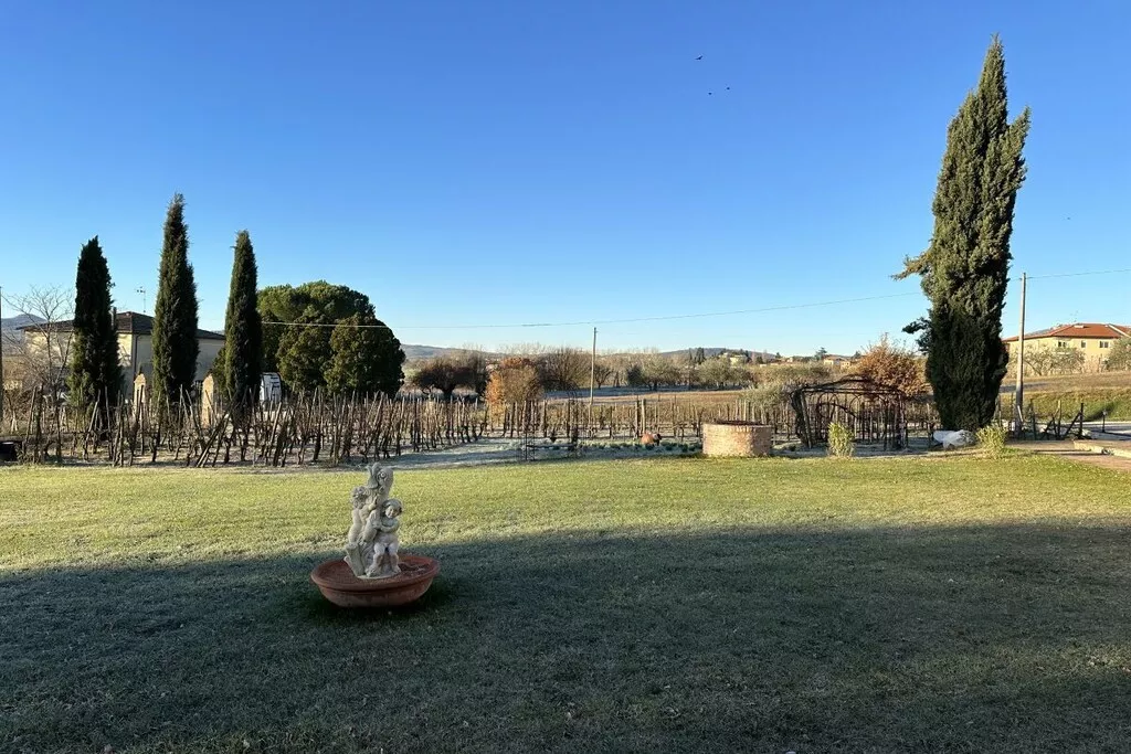 539353-Nicht zugeordnet