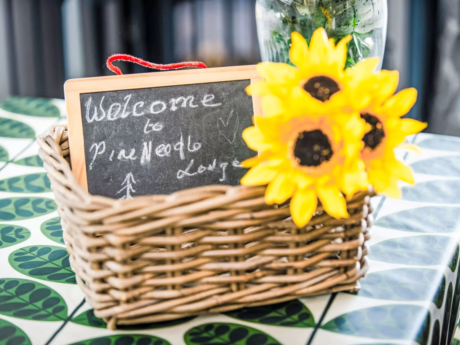 Pine Needle Lodge-Dehors