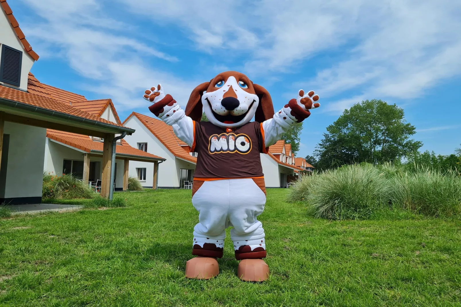 Berck sur Mer 12-Parkeinrichtungen