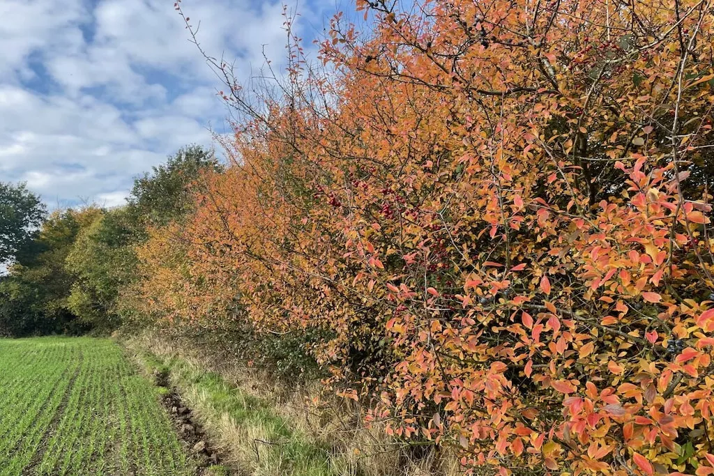 581116-Nicht zugeordnet