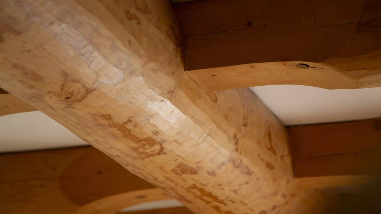 Naturstammhaus-Ambiente