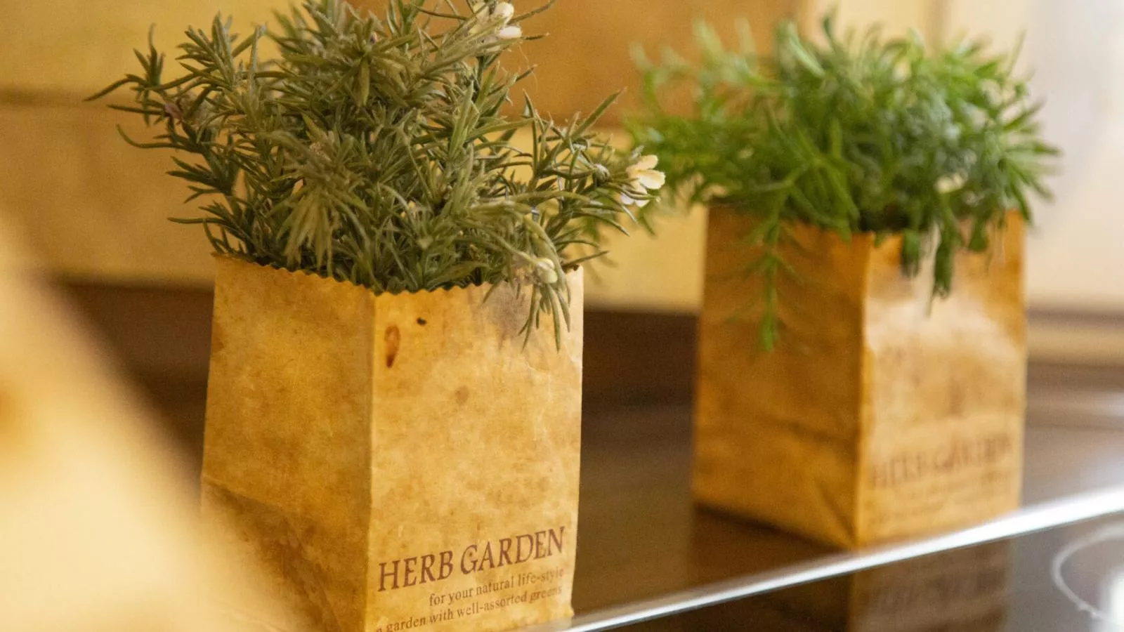 Das Haus am Wald-Küche