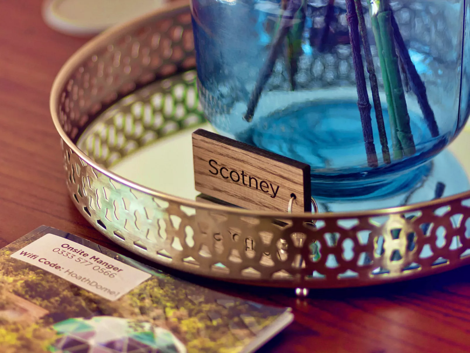 Scotney Luxury Dome-Drinnen